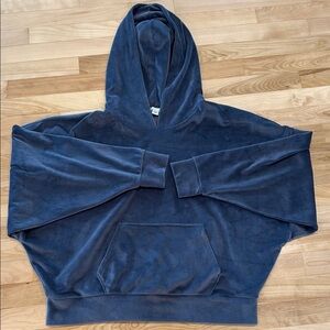 American Eagle velour hoodie size large blue gray L